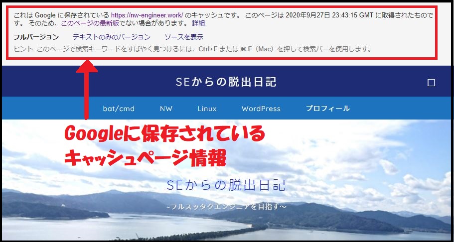 Google cache検索